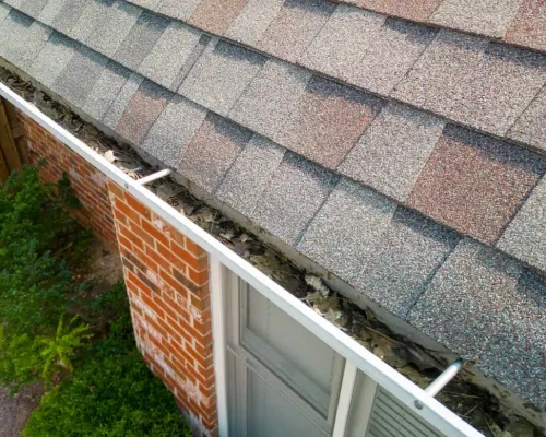 How to Prevent Roof Leaks by Removing Debris from Gutters