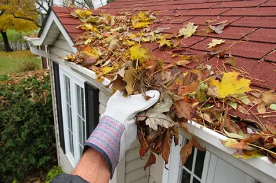 How to Prevent Roof Leaks by Removing Debris from Gutters