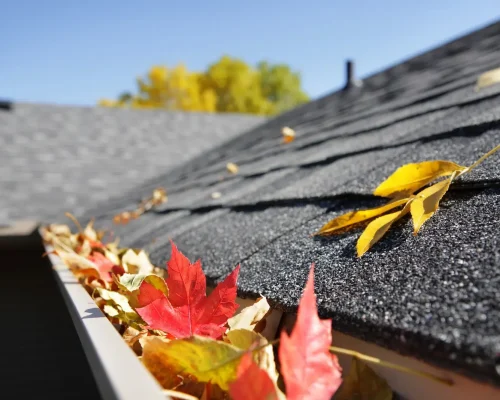 Roof Maintenance Tip: Keep Gutters Clear