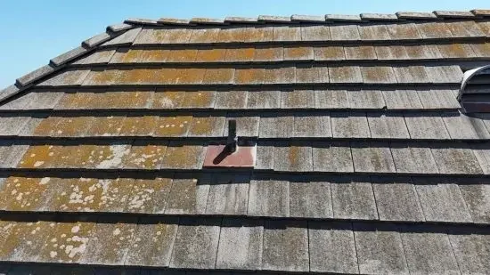 Common Roof Problems - Algae Growth