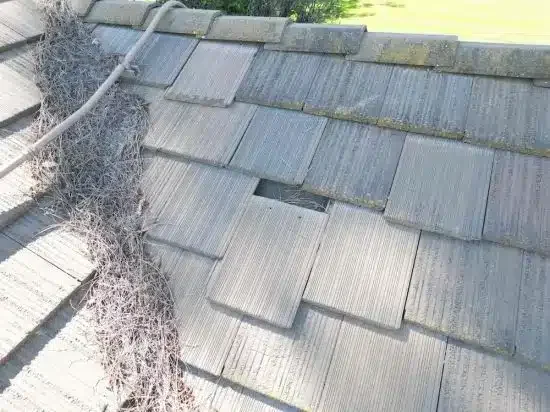 Common Roof problems - Slipped or Missing Tiles