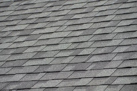 Popular Roof Type: Shingle