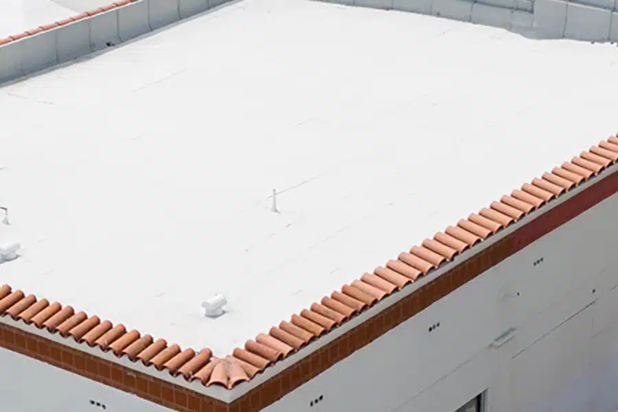 Common Roof Type: Flat Roof